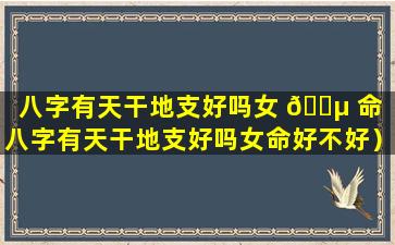 八字有天干地支好吗女 🐵 命（八字有天干地支好吗女命好不好）